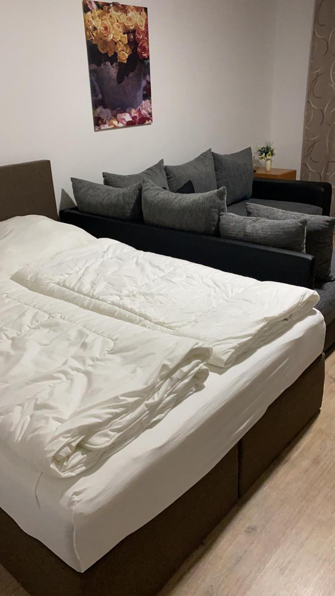 Art Haus Penthouse Winterberg Apartment Екстериор снимка